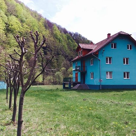 Casa Verde 호텔 Rîu de Mori 외부 사진