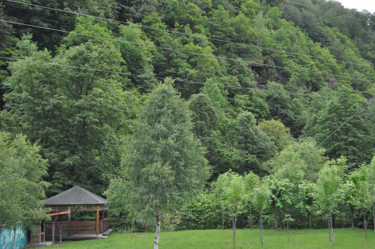 Casa Verde Rîu de Mori 외부 사진