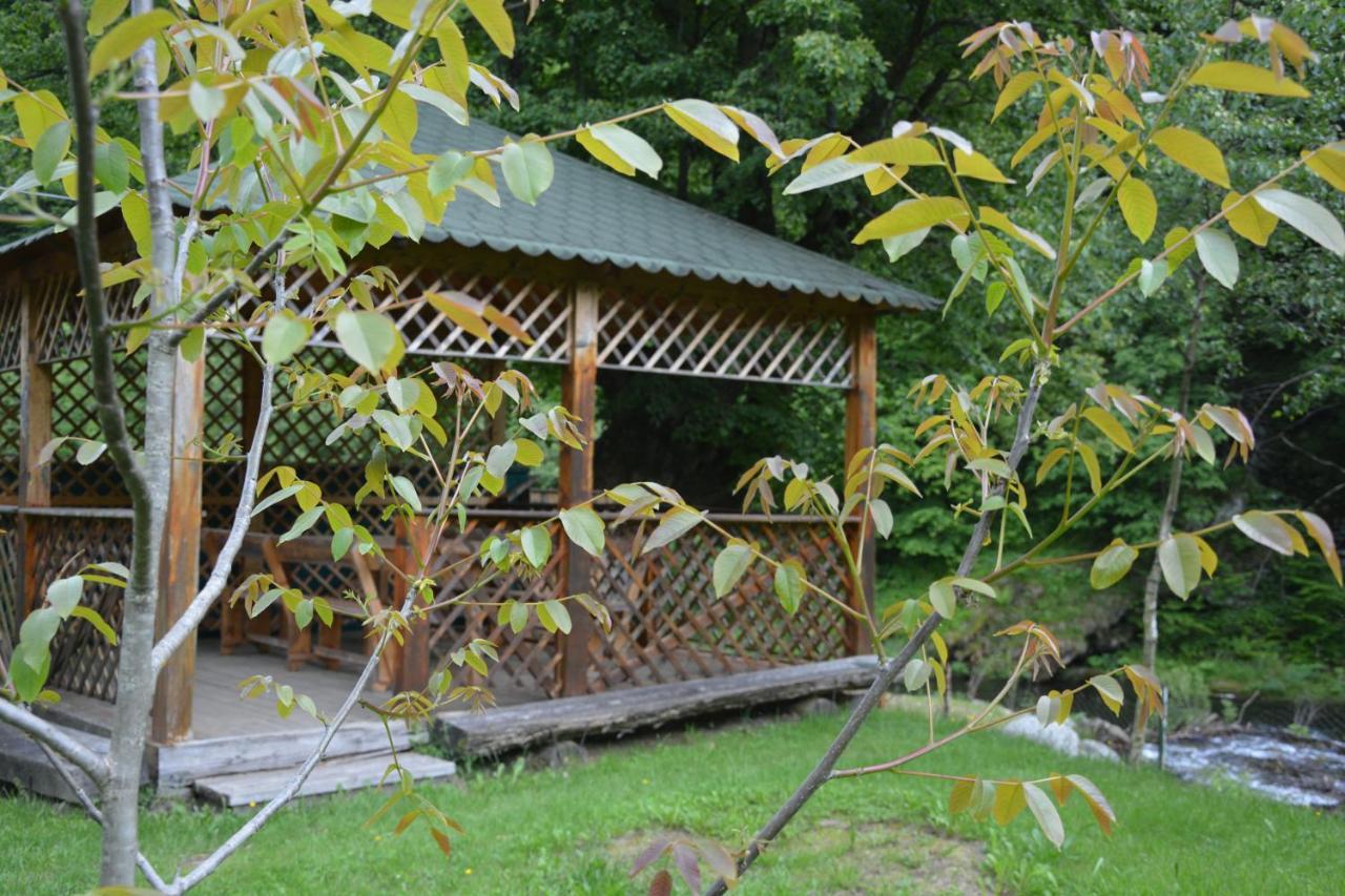 Casa Verde 호텔 Rîu de Mori 외부 사진