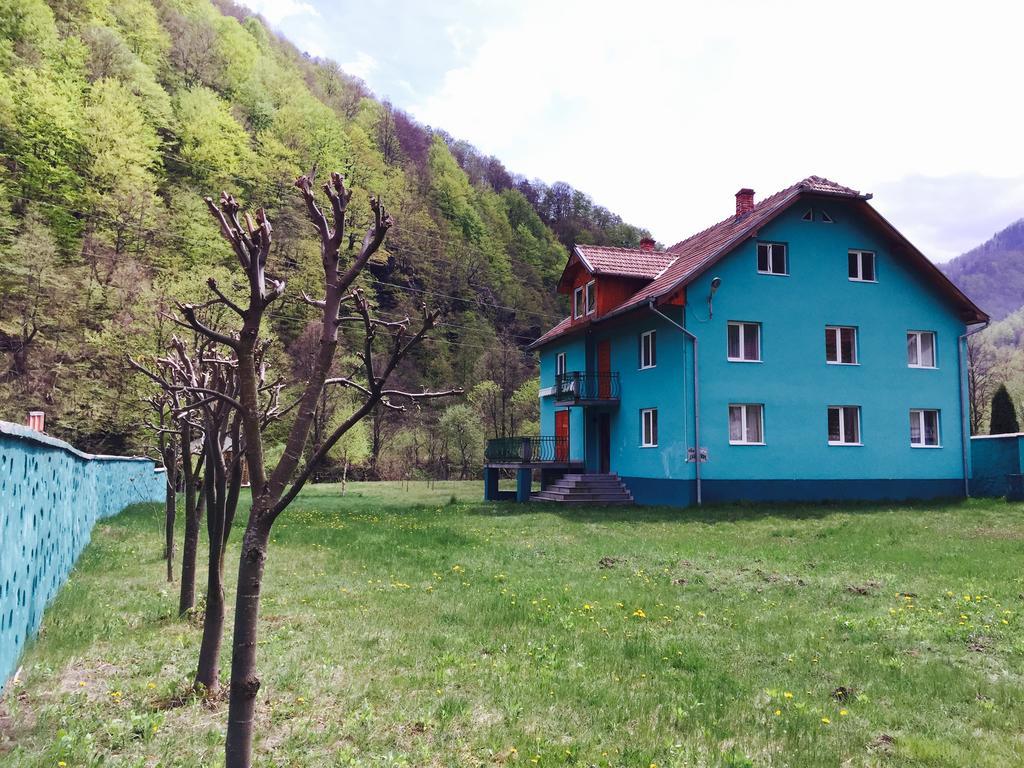 Casa Verde Rîu de Mori 외부 사진